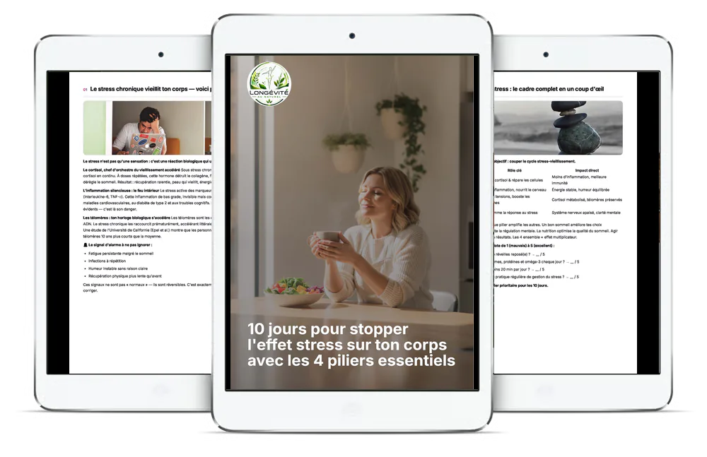 Aperçu du guide 10 jours pour stopper l’effet stress sur ton corps avec les 4 piliers essentiels sur plusieurs écrans