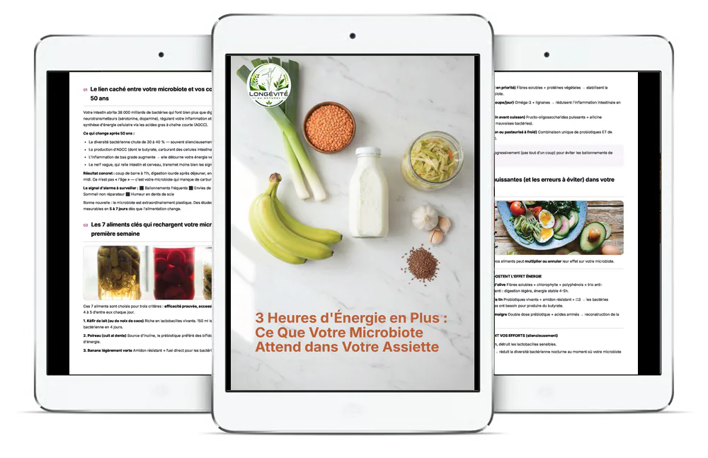 Aperçu du guide 3 Heures d’énergie en Plus : Ce Que Votre Microbiote Attend dans Votre Assiette sur plusieurs écrans