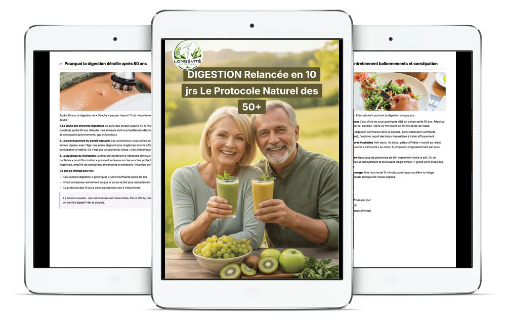 Aperçu du guide Digestion Relancée en 10 jours : Le Protocole Naturel des 50+ sur plusieurs écrans
